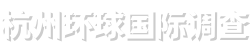 杭州环球国际调查